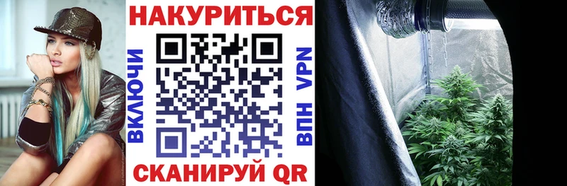 omg зеркало  Краснозаводск  маркетплейс как зайти  что такое наркотик  Каннабис тримм 